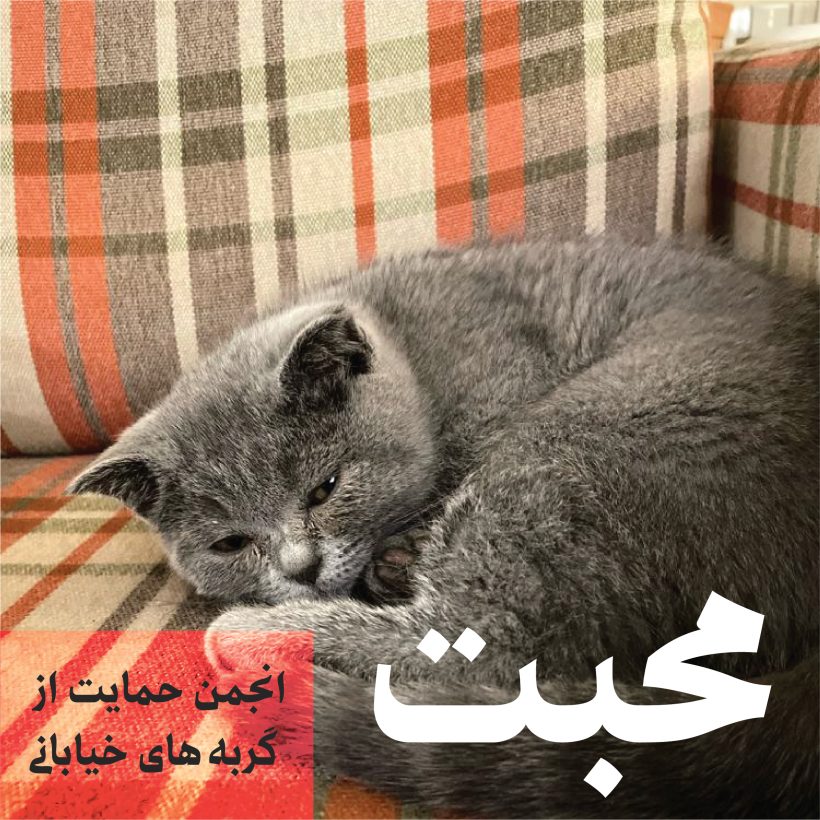 خرید و دانلود فونت فارسی طره